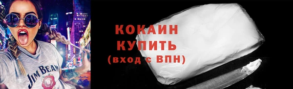 хмурый Верея