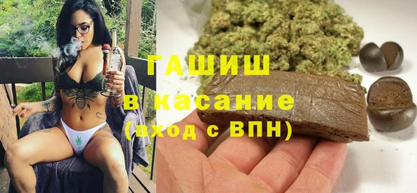 хмурый Верея