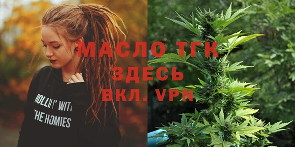 хмурый Верея