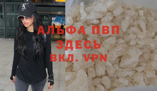 хмурый Верея