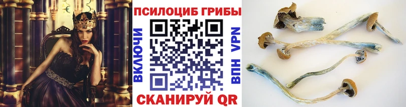 Галлюциногенные грибы мухоморы  mega онион  это Telegram  Кандалакша 